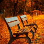 談《般若心經》中的般若空觀