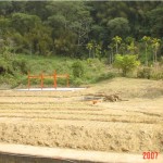 從「文化書寫」到「文化創意產業」----談GRANGE的文創經驗