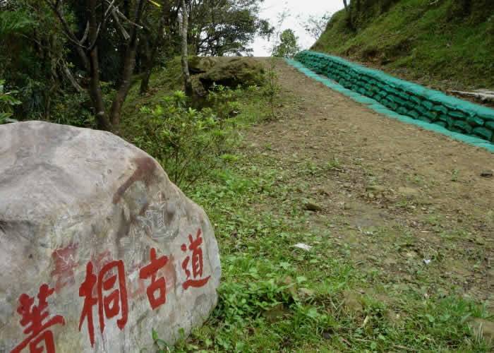 從汐止的磐石古道，經過菁桐古道，一路到平溪的薯榔尖，是一條具有難度的健康古道步行。<hr />&nbsp;●文 / 廖孟修 　攝 / 黃福松<span style="font-size: 14pt;">　初秋的早晨，天色才剛破曉，頂著微涼的清風，搭上五點五十分頭班汐平線的社區巴士，在連續彎彎曲曲的上坡路段之後，我們一行人在福德嶺下車，馥記山莊的鄭先生自行開車及時前來會合，經過清點人數：總計女三位加上男十員，其中有一對七十多歲的在地人夫妻。</span><span style="font-size: 14pt;">　福德嶺又稱磐石嶺，是汐止市與平溪鄉的交界點，重新整修的菁桐古道在此有個指示牌，整隊後我們順著菁桐古道前進，政府為了防範土石流的發生，沿途以砂袋排出一條排水道，排水道內以竹片遮在水道上方以阻止樹葉擋住水路，排水道下方再鋪設不織布以緩衝水份的滲漏，坡度較陡的地方更以粗樹枝插入砂袋固定住砂袋，只可惜如此的設計仍然阻擋不了九月十一日的大雨，山溝沖刷出來的土石仍然掩蓋住部份的路段。</span><img class="alignleft size-full wp-image-1766" src="https://iformosa.org/wp-content/uploads/2016/08/磐石古道-1.jpg" alt="磐石古道-1" width="400" height="267" /><span style="font-size: 14pt;">　目前自然工法的砂袋鋪設工程仍然持續進行著，走到魔神仔洞前終於走出泥土路了。魔神仔洞是以前運煤的通道，雖然此地的採礦事業已經廢坑多年，只見地上被滲漏的水浸濕的泥巴外，洞口一點裂縫都沒有，通道應該還是很堅固的，可以想像以前採礦通道對安全的超高要求。</span>&nbsp;<span style="font-size: 14pt;">　到了二坑橋，一路帶頭走的二位老人家要到菁桐訪友，跟我們道別了。接下來的路面完全是由石塊鋪成的，而且越走越陡，快到薯榔尖的那段路簡直是一直在爬石階梯，害我爬得上氣不接中氣，千餘級的階梯爬得我頭眼昏花，殿後的郭先生可能見我臉色有異，特別教我將頭埋在兩膝之間以減緩頭昏症況，如果不是一股不服輸的傻勁在鼓舞著我攻頂的話，真想躺在半路休息個夠。</span><span style="font-size: 14pt;">　甫從工研院水資所退休的林先生卻沒有休息，反而往回走下階梯，原來他是想測試自己的身體是否仍可維持良好狀況，在薯榔尖的三角點頂上我們利用休息的時間簽名，沒多久林先生及時回來跟大家拍個團體照留念，據他初步的估計約比我們多走了一千多級階梯。</span><span style="font-size: 14pt;">　短暫的休息給了我恢復體力的機會，接下來的路段都是山路，有幾段路不但要利用繩索下降，近於九十度的陡坡還有繩梯呢！雖然前半段的階梯路我們付出了極多的體力，大家仍然提起精神彼此互相鼓勵繼續未走完的路。其間走在前頭探路的山友突然大叫一聲，我以為發生了啥事，一個箭步趕了過去，原來是一條棒球棍粗的蛇正往路邊滑去。我們為闖進它的生活範圍而感到抱歉，快步通過之餘希望它不會被我們嚇到……。</span><img class="alignleft size-full wp-image-1762" src="https://iformosa.org/wp-content/uploads/2016/08/磐石古道-2.jpg" alt="磐石古道-2" width="400" height="267" /><span style="font-size: 14pt;">　九十分鐘之後我們來到前往581高地與磐石嶺的三叉路，雖然樹幹上華航憨鴨隊的標示牌沒有註明距離，但是取出地圖參詳一番之後，大多數隊員決定往磐石嶺的方向走，這是考量已經有隊友的體力可能無法再透支下去，其實我本身也是在硬撐著，這樣的決定讓大家都鬆了一口氣，也為下次耳空龜山的計畫提前曝光。</span><span style="font-size: 14pt;">　下山的路程感覺特別快，才四十多分鐘我們就回到磐石嶺的福德宮休息了，分批搭乘鄭先生的座車下山前，也都相約下次耳空龜山的聚會。</span><hr /><span style="font-size: 14pt;">●可以搭汐止社區巴士在汐止的磐石嶺下車，然後沿著經菁桐古道步行而下。然後從平溪菁桐搭火車到瑞芳，再轉往汐止。</span><span style="font-size: 14pt;">●自行開車者，可以在磐石嶺下車，然後步行而下，但是最好有一位能開車到菁桐火車站接人，免得還要走回頭路。</span><span style="font-size: 14pt;">●此路段正如文中所述，九十分鐘之後將前往581高地與磐石嶺的三叉路，繼續前走需要更多的體力，路段也遠，要結伴較安全，體力不好者最好折返或直接往菁桐火車站路線。</span><hr /><img class="alignleft size-full wp-image-1764" src="https://iformosa.org/wp-content/uploads/2016/08/磐石古道-3.gif" alt="磐石古道-3" width="600" height="550" />
