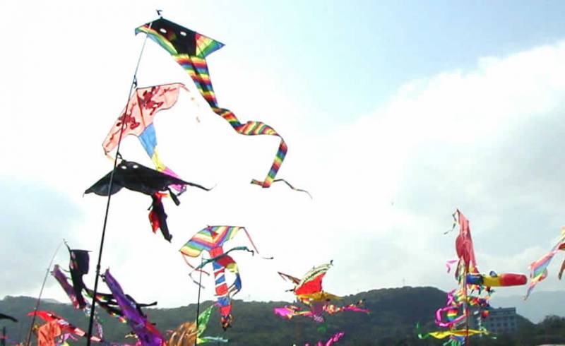 328小燈泡事件讓兒童安全再度亮起紅燈，除了讓我們對於居住安全等社會問題擔憂，更讓社會引發廢死議題的爭議，我們認為最終根本應從家庭教育及關懷守護孩子的未來做起。汐科國際青年商會為推廣關愛兒童，率先結合善牧基金會、新北市議員沈發惠服務處、caco加州椰子國際有限公司、寶寶派對、藝青會…等社會力量，並獲得新北市政府文化局指定由汐止區公所指導，舉辦「愛的魔幻(elmo)關懷兒童公益活動」。號召超過上百對父母到場連署、關懷兒童議題的藝人朋友們及新北市政府官員、汐止區民意代表一起施放象徵愛與和平的氣球，來喚起全國對兒童安全與教育的重視。希望能還給孩子們一個安全的教養環境。並期望透過活動表達守護孩子未來應從家庭教育及社會關懷做起，同時廣羅民眾意見與看法，提供政府未來施政規劃的參考。誠摯邀請您蒞臨，為下一代的未來，正面積極並用愛擁抱世界向政府發聲。地點：221新北市汐止區新台五路一段268號 / 新北市汐止區公所一樓廣場時間：2016/04/10 (日) 13:00至16:00藝人：小馬、亮哲、陳珮騏、王晴、鍾欣怡、瑤瑤(黃喬歆)、……等洽詢專線：汐科國際青年商會 會長特助，黃莉妍： 0939-685-875