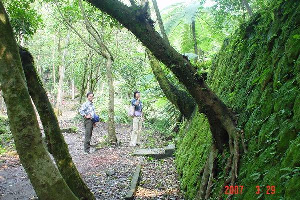 <strong><span style="color: #ff0000; font-size: 20px;">汐止翠湖過去曾是煤礦蘊藏與開採區，現在還留有事務所遺址。後來因為水蓮山莊的開採，土地被國泰移轉中信集團而名噪一時。</span></strong><hr /><span style="font-size: 20px;"><strong>文‧攝影  </strong><strong>/ </strong><strong>鄭維棕</strong></span><span style="font-size: 20px;"><strong>歷史之流</strong></span><span style="font-size: 20px;"><strong> </strong><strong>  </strong>連橫在「台灣通史」一書中的疆域志裏，論述到「淡水縣」的設置時說到：「淡水據北台之樞，…其水自雞籠山而來，歷八堵、五堵、經圓山、關渡，而入於海。旁流之脈，交銜於艋舺，大稻埕之間，航運之利，實興商業，而灌田尤廣，故產穀多。」</span><span style="font-size: 20px;"><img title="051203周厝-1" src="https://pic.pimg.tw/hcaa1234/1439481689-1011651009_n.jpg?v=1439481691" alt="051203周厝-1" border="0" /></span><span style="font-size: 20px; color: #ff0000;"><strong>周家花園的周再思，是汐止重要的煤礦大家族</strong></span><span style="font-size: 20px;">汐止舊名「水返腳」，早期曾隸屬淡水縣，基隆河流貫其中，兩岸田野阡陌，四周有青翠蓊鬱的秀峰山、姜仔寮山、五指山等。光緒十三年【一八八七年】劉銘傳與建的台灣第一條鐵路基隆至台北，貫穿獅求嶺隧道後，便馬上到達水返腳車站了。因為基隆河航運的便利和鐵道運輸的發展。清季和日據時代的水返腳，不但有興盛的農業，工商ㄝ與貿易的往返，也是絡繹不絕。</span><span style="font-size: 20px; color: #ff0000;"><strong>▲該書引用汐止文化網文章《汐止煤礦產業與家族發展史》（由汐止文化網無償提供刊登）</strong></span><hr /><span style="font-size: 20px;">光緒二十年【一八九四年】，水返腳隸屬於基隆廳石碇堡轄區，日據初期，它又屬於台北縣水返腳辦務署石碇堡，一直到大正九年【名國九年】，才改為台北州七星郡汐止街管轄，後來，又經過幾次的變遷，才改為現在的台北縣汐止市。<strong>在這一連串的歷史變動中，因著交通的便利和它四周豐富的煤礦，水返腳興起了不少的大家族，而這些大家族也都有不同的堀起的故事</strong>，這些故事或曲折、或平凡、或戲劇，這些不同的故事和水返腳的命運，交揉成為一幅生動的歷史圖像，深深深的埋印在水返腳人民的心裏面。而從這些家族的演變，可以看出汐止產業的脈動與更迭，「家族」與「產業」，成為水返腳斷代史興迭重要的瀏覽版圖。</span><span style="font-size: 20px;"><strong>基隆河的「黑金產業」</strong></span><span style="font-size: 20px;">基隆河不僅是汐止的生命之河，從平溪、瑞芳、基隆、台北，迤邐而下，成為孕育基隆、瑞芳、汐止重要的生命之河。</span><span style="font-size: 20px;">而基隆河最重要的「產業」，就是所謂的「黑金產業」---煤礦。而煤礦在北部的產量中，其中又以基隆煤田的產量最大，其數據如下圖：（註1）</span><table border="1" cellpadding="0"><tbody><tr><td width="85"><span style="font-size: 20px;">煤 區</span></td><td width="358"><span style="font-size: 20px;">區 域</span></td><td width="69"><span style="font-size: 20px;">百分比</span></td></tr><tr><td width="85"><span style="font-size: 20px;">基隆煤田</span></td><td width="358"><span style="font-size: 20px;">鼻頭、瑞芳、雙溪、頭圍、金包里、基隆、平溪、汐止等</span></td><td width="69"><span style="font-size: 20px;">50.67%</span></td></tr><tr><td width="85"><span style="font-size: 20px;">台北煤田</span></td><td width="358"><span style="font-size: 20px;">南港、石碇、山仔腳、中和、新店、三峽</span></td><td width="69"><span style="font-size: 20px;">17.12%</span></td></tr><tr><td width="85"><span style="font-size: 20px;">新竹煤田</span></td><td width="358"><span style="font-size: 20px;">關西煤田、油羅至北埔、嘉樂煤田</span></td><td width="69"><span style="font-size: 20px;">22.10%</span></td></tr><tr><td width="85"><span style="font-size: 20px;">南庄煤田</span></td><td width="358"><span style="font-size: 20px;">竹南區獅頭山、苗栗區出磺坑、竹東區五指山、鹿場、橫龍</span></td><td width="69"><span style="font-size: 20px;">5.70%</span></td></tr><tr><td width="85"><span style="font-size: 20px;">南投煤田</span></td><td width="358"><span style="font-size: 20px;">南投區九分二山、集集大山</span></td><td width="69"><span style="font-size: 20px;">0.14%</span></td></tr><tr><td width="85"><span style="font-size: 20px;">阿里山煤田</span></td><td width="358"><span style="font-size: 20px;">嘉義阿里山</span></td><td width="69"><span style="font-size: 20px;">4.27%</span></td></tr><tr><td width="85"><span style="font-size: 20px;">總計</span></td><td width="358"><span style="font-size: 20px;"> </span></td><td width="69"><span style="font-size: 20px;">100.0%</span></td></tr></tbody></table><span style="font-size: 20px;">而煤礦的發展地則以基隆河上游的平溪鄉最重要。（註2）其中，平溪鄉的石底向斜軸南北兩翼蘊含豐富的煤層，因此過去是大量挖掘開採之處。民國前五年(光緒卅三年、明治四十年，西元1907年),平溪庄第一代庄長<a href="http://iformosa.org/2016/08/20/%E6%BD%98%E7%82%B3%E7%87%AD%E8%80%81%E5%8E%9D%EF%BC%88%E8%94%A1%E4%B8%81%E5%85%AC%E5%A0%82%EF%BC%89/" target="_blank" rel="noopener">潘炳燭</a>先生，發現煤礦露頭,於平溪煤礦附近，發現煤田露頭，並取得採煤權，隔年並將礦權讓與日商藤田組，經作測試開採，煤質雖良好，但因為開採必須集鉅資不可，因此民國七年和「台陽礦業公司」合資經營，成立「台北炭礦株式會社」（期後改名「台陽礦業株式會社」）。</span><span style="font-size: 20px;">台陽公司創辦人顏雲年投下鉅資，完成平溪線鐵路，鐵路完工於大正十年(1921年)，使得平溪鄉煤礦從此大量開採，並利用鐵路運送，民國14年設蒸汽動力，民國18年又改為電力設備使用機器與人工開始大量開採，讓平溪發展一日千里。根據平溪文史工作研究，平溪的順隆煤礦、石灼煤礦、大華煤礦等都曾與台陽合夥經營過、礦場極盛時期年產量達40餘萬公噸，一天有三班制，人力需求量很大</span><span style="font-size: 20px; color: #0000ff;"><strong>汐止煤業發展</strong></span><span style="font-size: 20px;">基隆河上游的平溪以盛產煤礦著稱，而居於基隆河中下游的汐止，也同樣受到煤礦蔭庇，因為煤礦的開採而產生許多的家族大戶。</span><span style="font-size: 20px;"><strong><span style="color: #ff0000;">有關汐止地區產煤或礦業主採礦的記錄，最早可溯至光緒十六年（1890）。此年有一名為周苗者，向陳瑞彩所經營的陳永豐號借貸佛銀五十大圓，欲贖回北港　鮐坑的煤洞。借銀契文中未言明煤洞由何人開採、產煤多少。但至少可知，光緒十六年時石碇堡北港口（今汐止鎮北港）一帶應已有煤礦開採，故而有煤洞的存在。</span></strong>而當時煤洞也可像田地或房舍一般出典他人；另外，汐止蘇家蘇樹森在明治三十年（1897）向總督府申請「石炭礦採掘許可願」時，也曾表示早在光緒十八年（1892）即曾在石碇堡瑪陵坑之石獅崙採掘煤礦。此礦區共九萬坪，原來是片種植松、柏、竹木的山場。這是所知汐止地區人士最早參與採煤的記錄。</span><span style="font-size: 20px;"><img title="DSC05523" src="https://pic.pimg.tw/hcaa1234/1439482033-3250180908_n.jpg?v=1439482036" alt="DSC05523" border="0" /></span><span style="font-size: 20px;"><strong>翠湖有重要的煤礦事務所遺址，也是周厝重要的煤礦基地之一</strong></span><hr /><span style="font-size: 20px;">日人據臺後，在明治三十年發佈「臺灣礦業規則」，限定需為日本國籍臣民方得許可採礦，當時申請採礦核可的五個礦區（向山煤礦、青柳煤礦、津村煤礦、小島煤礦及日人山田氏在枋寮所開採的礦區）中，小島煤礦即位在汐止附近。明治三十一年（1898）以後，臺人身份確定，獲得採礦許可的臺人乃逐漸增多。在明治三十一年至大正四年（1915）之間，曾獲總督府「石炭礦採掘許可」的汐止地區人士中，有記錄可查者包括：陳文遠、<a href="http://iformosa.org/2016/04/08/%E8%AB%8B%E5%88%A5%E5%86%8D%E8%AA%AA%E4%BD%A0%E6%84%9B%E6%88%91%EF%BC%8C%E9%80%99%E6%9C%80%E8%AE%93%E6%88%91%E5%BF%83%E7%97%9B%E7%9A%84%E4%B8%80%E5%8F%A5%EF%BC%81/" target="_blank" rel="noopener">蘇樹森</a>、<a href="http://iformosa.org/2016/08/20/%E9%99%B3%E5%AE%9A%E5%9C%8B%E5%8F%A4%E5%8E%9D/" target="_blank" rel="noopener">陳瑞彩</a>、<a href="http://iformosa.org/2016/04/01/%E6%B1%A0%E8%A2%8B%E7%9A%84%E6%B3%A1%E8%8A%99-%E5%91%A8%E5%AE%B6%E8%8A%B1%E5%9C%92%E8%88%88%E8%A1%B0%E5%8F%B2/" target="_blank" rel="noopener">周再思</a>、<a href="http://iformosa.org/2016/08/20/%E4%BD%99%E6%88%90%E5%AE%B6%E5%92%8C%E4%BD%99%E7%A5%96%E6%B7%BB/" target="_blank" rel="noopener">余成家</a>、蘇四川、李炎海，以及曾在汐止茄苳腳建立豪華宅邸的平溪庄長潘炳燭等，這些人物在清末及日據初期，除周再思與潘炳燭外，幾乎都是汐止地域的庄長或是紳商家族中的成員。除了參與採礦事業的人物之外，明治三十一年至大正初年期間，也有許多礦坑分佈在汐止地區內的北港庄、茄苳腳庄、保長坑庄、康誥坑庄、叭嗹港庄、鄉長厝庄等地。</span><span style="font-size: 20px;">明治年間汐止地區申請採礦者，雖然多為地區內的富厚之家，然因採礦的投資成本高，風險大，膽敢巨額投資的臺人實不多見，以致於蘇家蘇爾民的礦坑採取少量機械設備協助生產外，其他人的礦坑皆不見有機械化採礦的記錄，甚至在申請礦權後即無下文。在面對煤炭售價起落不定，以及日人挾巨資、現代化設備以大量採礦的競爭下，大正年間以後這些採礦者大半銷聲匿跡於煤業界，僅餘上街蘇家蘇爾民、茄苳腳周家周再思兄弟、北港蘇家蘇慶月與蘇四川、上街李家李萬居之子李炎海仍在礦業上持續發展。</span><span style="font-size: 20px;"><strong><span style="color: #ff0000;">大正至昭和年間，是汐止地域煤業發展的高峰期，大正三年以後至昭和年間，汐止地域的煤炭年產量大致維持在七萬公噸以上，最高記錄甚至達到二十五萬公噸，市價二百萬元。</span></strong></span><span style="font-size: 20px;">表5-1　汐止地區煤炭年產量表（資料來源/曾品蒼）</span><hr /><span style="font-size: 20px;"><strong>年度   產量（公噸）     價格           產地範圍</strong></span><span style="font-size: 20px;"> 1914   79,085                   131,586      水返腳支廳</span><span style="font-size: 20px;"> 1915   80,059                   134,905   （同上）</span><span style="font-size: 20px;"> 1916   101,801                  224,789   （同上）</span><span style="font-size: 20px;"> 1917   158,279                 395,188    （同上）</span><span style="font-size: 20px;"> 1924   76,808                  503,162      汐止街</span><span style="font-size: 20px;"> 1928   140,000               900,000   （同上）</span><span style="font-size: 20px;"> 1932   75,069                 345,081      （同上）</span><span style="font-size: 20px;"> 1933   70,115                  340,058     （同上）</span><span style="font-size: 20px;"> 1934   250,000             2,000,000  （同上）</span><span style="font-size: 20px;"> 1936   136,162               729,011       （同上）</span><hr /><span style="font-size: 20px;">昭和年間，汐止地區的礦業界人士，也開始集資籌組「株式會社」，試圖以更雄厚的資金、完善的設備進行採礦，其中以益興炭礦株式會社最為重要。益興炭礦為周再思之弟周錦樹，與同為汐止人士嚴丙丁、高水、廖進發等人共同集資成立，由周錦樹擔任社長，除了收購基隆炭礦株式會社已經廢坑的烘內炭礦、鹿寮炭礦，以及後宮明合株式會社所屬北港口炭礦繼續開採外，也自行開鑿鹿寮新一坑、北港二坑、北港三坑（由嚴丙丁包採）等煤坑。昭和十三年（1938）時，臺灣實施第一次自己自足生產力擴充計劃，益興炭礦會社籍「石炭四年增產計劃」中之設備補助金，以及新坑開發助成金等大力擴充設備、鋪設軌道，一度號稱為臺灣第三大礦。大正十三年臺煤不景氣，蘇爾民家族的採礦事業即因慘遭打擊而元氣大傷。為了與大財閥相拮抗，在昭和年間，以周家周錦樹為首的汐止人士，也集資籌組株式會社，於是有益興炭礦株式會社的成立，雖然其不久被南海株式會社收購，但其曾為臺灣第三大礦業公司的歷史，至今猶令汐止故老津津樂道。</span><span style="font-size: 20px; color: #ff0000;"><strong>工商興盛</strong></span><span style="font-size: 20px;">昭和九年時，從八堵至臺北間，每日有二十八班車次來往，車次之多，居全省鐵路之冠。昭和八年時在汐止車站上、下車的旅客，全年共有二十八萬三千餘人次，至昭和九年時，增多至三十三萬三千餘次。雖然鐵路輸出入的貨運量不詳，但因煤炭多賴與鐵路相銜接的輕便軌道來運輸，鐵路自然成為汐止地域的主要物產──煤炭的重要運輸工具。</span><span style="font-size: 20px;"> 鐵、公路的發達，雖未能完成取代原有的河運，但因其運輸量逐漸增加，河運乃退居於次要的地位。這也就間接使得汐止街從一河港的身分轉而成為一陸運要站。</span><span style="font-size: 20px;"><strong><a href="http://www.sinew.idv.tw/cul1/cul32%A6%CA%A6~%AF%F9%B8%AD%A5v.htm">茶葉</a></strong></span><span style="font-size: 20px;">除了煤礦產業外，另外一項重要的產業，就是茶葉，茶葉也帶來汐止另一種產業風情與家族興盛。</span><span style="font-size: 20px;">茶葉、蔗糖、樟腦、煤炭、檜木、食鹽皆是台灣著名的特產品，亦是第二次世界大戰結束（西元一九四五年）前，台灣大家外銷輸出全球各國的農林作物產品，對當時以農為本的工商環境，為台灣的民生經濟的經營與發展，有很大份量貢獻。這些農林產品，尤以茶葉的外銷輸出為首，論廣佈全島的耕作品域面積，從事產銷的人口比例，外銷量值的數額，悠長的出口歷史及國際久享盛譽的知名度，名列為台灣的第一特產品。</span><span style="font-size: 20px;"><img title="建順茶行2" src="https://pic.pimg.tw/hcaa1234/1439482179-306822660_n.jpg" alt="建順茶行2" border="0" /></span><span style="font-size: 20px; color: #ff0000;"><strong>茄苳路上的百年建順茶行 ，見證汐止茶葉發展史</strong></span><span style="font-size: 20px;">介紹台灣茶業簡先，需先瞭解台灣地區茶業生產地理環境。本省多山岳及丘陵地，氣候多霧，濕氣較重，適合茶苗培植及茶葉種植，據早期先民口述和文獻記載，台茶始於清嘉慶年間，由中國福建引進武夷茶苗來台繁植，地點份佈於今台北縣境內各地山區，如汐止的白雲、南港的大坑、文山的木柵及新店的深坑坪林，而該分佈區所產之包種茶或稱為「文山包種茶」，或稱為「南港包種茶」，是為台茶「包種茶」之發源地。</span><span style="font-size: 20px;">當時，台灣生產的茶葉往往回流福州再製、烘焙，並銷售到外地，如日本及南洋各地，茶販均以春夏營茶，秋冬回歸耕田，而無設立商號。及至同治年間，淡水、基隆開市，茶葉除外銷至日本、南洋各地外，並擴銷至英、美等國，是為台茶極盛期。外商以「台北包種茶」稱之，在各國市場上與中國出產之福建茶相競銷、抗衡，而南洋市場的競爭尤為激烈。</span><span style="font-size: 20px;">百多年前，本省從事農、牧、漁業之發展，茶葉產銷量值是稻米外之大宗農產品，台北山區汐止茶之年產量茶約卅萬公斤，其時先代祖先皆重視「山龍」景觀維護，亦即現今之「環境保護」，絕不濫墾山區，種植茶葉時亦無損「山龍」之景觀，汐止百年<a href="http://iformosa.org/2016/04/23/%E6%B1%90%E6%AD%A2%E5%BB%BA%E9%A0%86%E8%8C%B6%E8%A1%8C/" target="_blank" rel="noopener">建順茶行</a>黃敦釋是福建省安溪縣同安鄉首次渡台基隆廳石碇堡姜仔寮庄（汐止）開墾土地時為西元一七八三年（清乾隆四十八年）。但自中日甲午戰爭，日本佔領台灣之後，即大事開採煤礦，北部「山龍」遭受破壞，茶葉種植面積日漸減少，茶葉生產即漸南移至桃園、新竹、苗栗、台中、南投等山區。第二次世界大戰──即台灣光復後，又逐漸東移至台東及花蓮地區，取代台北山區產量，此即本省茶葉生產地區異動的由來。</span><span style="font-size: 20px;">汐止所產的茶葉細長緊結、翠綠帶光，茶湯澄清見底、香氣強烈、自然芬芳，滋味甘醇潤喉，落喉久久不散，入腹尚能回味無窮，是全省所不能及的。時榮任第一屆同業組合茶台北茶商公會副組長的當地茶商李萬居先生即極力倡導，加倍種植四大優良品種之一的青心烏龍，為茶農習稱「種仔」或「小種仔」，奠定了汐止「種仔茶」的基礎。</span><span style="font-size: 20px;">公元一八八五年，黃德玉在汐止創立「建順茶棧」。茶棧初期是移植茶苗、開墾茶園，在黃建順擴大種植最盛時期，種植面積廣達八十五公頃，是汐止地區最大的茶源生產場。中期因日本人開採煤礦，茶葉種植面積減少，黃建順兼做茶販買賣生意，到汐止、新店、石碇、深坑、三峽、淡水、小基隆、金山、萬里、瑪鍊坑、大武崙、七堵、暖暖、四腳亭、瑞芳、頂雙溪、十分寮、青桐坑、坪林、大舌湖、宜蘭、礁溪、冬山、番仔山、三星、南港和木柵等鄰近茶葉生產地收購茶葉，並轉運、批發給台北市各洋行銷至國外，時在公元一九一二年正式開立商號營業，後期於一九五0年代設立製茶工廠，自收購、焙製等一貫作業，生產各種茗茶，批發給全省各茶葉商店，並外銷世界各國，因直接自營收購及焙製，成本收廉、品管得宜、價廉物美，且建立良好信譽，行銷全省各地，奠定了往後「建順茶行」經營的起源雄厚基礎。</span><span style="font-size: 20px; color: #ff0000;"><strong>鹿窟事件與茶葉衰落</strong></span><span style="font-size: 20px;">茶葉是汐止另一項重要的產業命脈，然而，茶葉的衰落，卻是因為政治的因素，使得茶葉一蹶不振。而導致茶葉衰落的頭號兇手，就是<a href="http://iformosa.org/2016/04/01/%E9%B9%BF%E7%AA%9F%E4%BA%8B%E4%BB%B6/" target="_blank" rel="noopener">鹿窟事件</a>。</span><span style="font-size: 20px;">鹿窟事件是汐止繼二二八之後，影響汐止發展最重要的事件，不但對汐止政治產生重大影響，更波及汐止許多產業的發展。</span><span style="font-size: 20px;">鹿窟事件發生在民國四十一年十二月，而發生當天恰好是台北縣議員選舉的第二天，可以說，這個事件是二二八事件的延續。 根據地方耆老口述，鹿窟事件的主要領導人包括楊上級（即陳本江）、政委陳當和、書記呂赫若、指導委員陳春慶、廖學禮等眾多幹部。</span><span style="font-size: 20px;">這些人都曾經參加過二二八抗暴事件，在事件失敗後，集結到鹿窟。 這些人因為對國民黨政府失望，以鹿窟作基地，成立「台灣人民武裝保衛隊」，希望對抗陳儀的暴政。　而國府為了整肅異己，發動軍、警、憲、特，從南港、深坑、八分寮、菁桐等地包山，爆發汐止著名的「鹿窟事件」。</span><span style="font-size: 20px;">鹿窟事件發生時為民國四十一年的十二月二十九日，至今年（2002年）已經滿五十週年，當時，國民黨政權對於共產黨風聲鶴唳，許多台灣民眾在這樣肅殺的環境中，動則得咎。而汐止的鹿窟原本以產茶著名，卻因為被國共當作是共產基地，動員萬餘名軍警實施包山，從石碇、南港、汐止一路將這個區塊上的民眾，不分青紅皂白，全部抓起來 ，使得許多汐止、石碇民眾無緣無故受害，甚至有些小孩年紀還小，完全不懂事也被抓進牢裡，莫名其妙就被抓去管訓，做了長年的牢獄。如現年五十三歲的廖水源，被抓時還不到三歲，父親廖文忠被抓後，在嚴刑考問下最後發瘋，讓他飽受家破人亡之苦。至於當時只有十三歲的陳久雄，一早要到學校的在山路上 ，莫名被抓，結果被抓到當時的菜廟（光明寺）毒打，甚至被管訓七年，到二十歲時才被放出。而這件事所牽連的人數，至少一、二千人，至今有些尚無法查出。</span><span style="font-size: 20px; color: #ff0000;"><strong>傳統產業衰落，新興產業開始勃興</strong></span><span style="font-size: 20px;">汐止傳統產業衰落，然而，隨著時代巨輪不斷前進，隨之而來的改變，是汐止成為一個工商大鎮，甚至是一個緊鄰台北城的明星衛星城市。</span><span style="font-size: 20px;">幾年前，政府大力興建六年國建，國家編列大筆預算大肆進行各項公共工程，其中，六年國建中與汐止有關的工程，總金額就接近七千億元，這些公共工程包括：國道中山高速公路汐止至五股段的高架拓寬工程（282億元）、北部第二高速公路計畫（1282億元）、北二高後續建設工程（4385億元）、國道北宜高速公路（601億元）等。其餘如台五路汐止段貨櫃車專用道（5億元）、台五路南港至基隆拓寬工程（四十九億元）、台北市東西快速道路（125億元），捷運延伸至汐止、高速鐵路等，這些公共工程在近十幾年內，給汐止帶來發展的遠景。而多年前新台五路通車後，使汐止對外交通更為便利後，幾乎在台灣具有份量的著名財團，都湧進這塊面積僅有七十二平方公里的小城鎮，從山上到農地，再從平地到基隆河兩岸被墊高的河地，雨後春筍般的高樓大廈一棟接著一棟擎天而起。根據仲介公司統計，近十幾年來，汐止光是預售屋的總數就高達10萬多戶，總銷售金額也超過6千億元以上。大量人口移入，再加上與河爭地，基隆河原本的景觀，逐漸褪去，洩洪平原也變成「高樓大廈」高密度住宅區。</span><span style="font-size: 20px;"><img title="茄苳溪3" src="https://pic.pimg.tw/hcaa1234/1439482411-2288613157_n.jpg" alt="茄苳溪3" border="0" /></span><span style="font-size: 20px;"><strong>大量的山坡地開發與過度的基隆河沿岸建築群落，造成汐止城市面貌完全改觀，讓產業也發生重大劇變，鄉城特質逐漸走失，未來汐止會變成怎樣？（圖為基隆河整治之資料圖）</strong></span><hr /><span style="font-size: 20px;">根據海洋大學海工系教授李光敦透過衛星遙測影像研究顯示，汐止地區這十年來土地開發相當嚴重。研究中應用十年前衛星遙測影像(民國77年2月5日)與近年之衛星遙測影像(民國87年7月16日)，經由遙測照片觀察可知，汐止地區人為開發(包括裸露地、建物與道路、草地與農地等非林地部分)大多沿基隆河兩岸，而部分人為開發則由基隆河兩側向山區（野溪沿線）擴張。根據資料，這十年的開發情形，社后橋以上基隆河流域(279 km2)之林地由原來的84%減少為74%，亦即該區域內人為開發而使土地利用改變率約為10%，這其中包含建物與道路、草地與農地，以及裸露地的增加；而建物與道路之增加率僅佔全區域面積的5%。若針對社后橋與實踐橋（五堵）間區域(76 km2)進行分析，得知該區域內的林地由原來77%減少為61%，亦即人為開發而使土地利用改變率約為16%，而建物與道路的增加率約為5平方公里，僅佔全區域面積的7%。</span><span style="font-size: 20px;">而這些土地，大部分改為建物或道路，也因為大量的土地釋放出來，也讓許多工商業進駐汐止，讓汐止這十年來，從原本的山城小鎮，變成一個工商大鎮，許多上市上櫃公司進駐，產業的變化，也讓汐止文化與土地受到極大的衝擊，原本的產業特質不再，相反的，汐止與其他城市越來越像其他的鄉鎮市，<strong>慢慢由「異質走向同質」，鄉城特質逐漸走失，取之而來的卻是大城市相同的況味，對多數汐止人來說，這不知是幸或不幸，值得關心汐止與台灣產業與文化發展的人共同省思。</strong></span><p style="text-align: left;"><span style="font-size: 20px;"><strong>■ 閱讀相關文章</strong></span></p><p style="text-align: left;"><span style="font-size: 20px;"><strong>∣<a href="http://www.iformosa.org/2016/04/01/%e6%b1%a0%e8%a2%8b%e7%9a%84%e6%b3%a1%e8%8a%99-%e5%91%a8%e5%ae%b6%e8%8a%b1%e5%9c%92%e8%88%88%e8%a1%b0%e5%8f%b2/">周家花園興衰史</a> ∣ <a href="http://www.iformosa.org/2016/08/20/%E5%BE%9E%E6%B5%AE%E8%8F%AF%E5%88%B0%E8%92%BC%E6%B6%BC%EF%BC%8C%E5%91%A8%E5%AE%B6%E8%8A%B1%E5%9C%92%E8%88%87%E6%88%91%E5%80%91%E7%9A%84%E6%95%85%E4%BA%8B/">從浮華到蒼涼，周家花園與我們的故事</a> ∣ <a href="http://iformosa.org/2016/08/20/%E5%91%A8%E5%86%8D%E6%80%9D%E5%92%8C%E5%91%A8%E5%8E%9D%E5%85%AB%E8%A7%92%E6%A8%93/">周厝八角樓</a></strong><strong>∣ <a href="http://iformosa.org/2017/11/19/1928/">周昇汐霧夜菁桐</a> ∣ </strong><strong><a href="http://iformosa.org/2016/04/01/%E5%9C%A8%E5%9C%B0%E4%BA%BA%E5%81%9A%E5%9C%A8%E5%9C%B0%E4%BA%8B/">汐止煤業發展史</a> ∣ </strong><strong><a href="http://iformosa.org/2016/08/20/%E5%91%A8%E7%91%9E%E7%87%89/">我參與八掌溪油井開採始末</a> </strong></span></p><span style="font-size: 20px;">（註1）曾品滄《汐止的產業變遷與紳商家族之發展（1754--1945）》，台灣大學歷史研究所碩士論文）</span><span style="font-size: 20px;">（註2）曾品滄《汐止的產業變遷與紳商家族之發展（1754--1945）》，台灣大學歷史研究所碩士論文）</span>