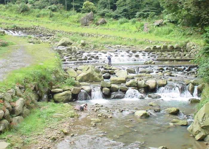 <span style="font-size: 14pt;">●文‧攝／鄭維棕</span><span style="font-size: 14pt;">　位於汐平公路的仁愛橋，是汐平路上一個相當著名的旅遊景點，每到春夏天時，這裡總是擠滿了人，是汐止戲水的重鎮。</span><span style="font-size: 14pt;">　 由於受到納莉颱風的破壞，仁愛橋面一度塌陷，台北縣政府與農委會特別花了經費，將仁愛橋改建成現在的拱橋狀，比原先亮麗。</span><span style="font-size: 14pt;">　這處景點附近有東山青瀑布，往上游可以到達柞埤古道，沿旁邊小路，過去是通往磐石嶺與菁桐古道的重要交通要道，可惜因為年久失修與颱風的緣故，古道早就破壞殆盡。</span><span style="font-size: 14pt;">　 仁愛橋是汐止著名的名勝，每年夏天聚集大量的人潮，台北縣政府斥資9.480.000元改建，也並被縣政府列入「台北縣轄區內汐止市北31線道路、橋樑改善工程（1-4標）」辦理。並由新世紀技術顧問股份有限公司負責監造，由久旺營造有限公司承造施工。</span><span style="font-size: 14pt;">　改建完的拱橋，雖然比以前還要漂亮，但已經失去原味，如果能夠考慮到周遭原始環境，這條橋的價值會更高。</span><hr /><span style="font-size: 14pt;">●可以搭社區巴士直接在這裡下車遊玩，也可自行開，從汐平路算起，約20--30分鐘。</span><hr />&nbsp;<img class="aligncenter size-full wp-image-1229" src="http://www.iformosa.org/wp-content/uploads/2016/08/仁愛橋-1.jpg" alt="仁愛橋-1" width="700" height="500" />